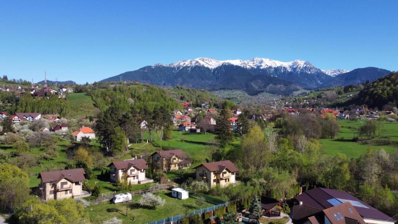 Casa Arra Otel Bran  Dış mekan fotoğraf